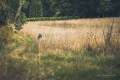 JC-Peyrard-IMG_0520-Web