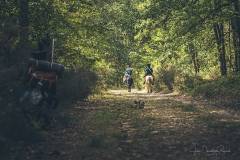 JC-Peyrard-IMG_0588-Web