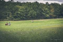 JC-Peyrard-IMG_0708-Web