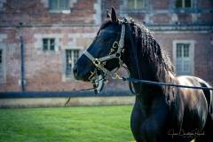 JC-Peyrard-IMG_3213-Web