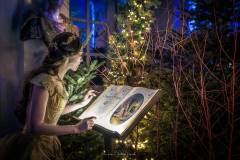 JC-Peyrard-IMG_0220-Avec-accentuation-Bruit-Web