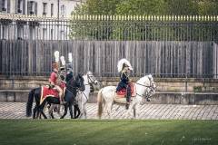 JC-Peyrard-IMG_7343-Web