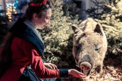 JC-Peyrard-IMG_1018-Avec-accentuation-Bruit-Web