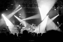 JC-Peyrard-IMG_0044-Avec-accentuation-Bruit-Web